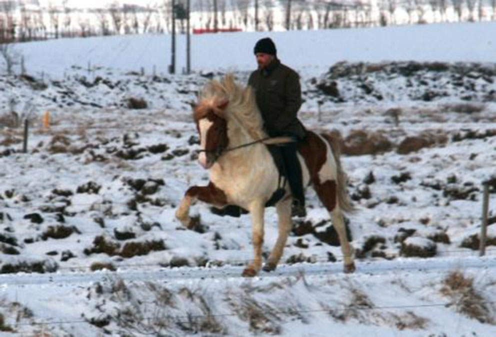 Hákon og Elli í febrúar 2011.